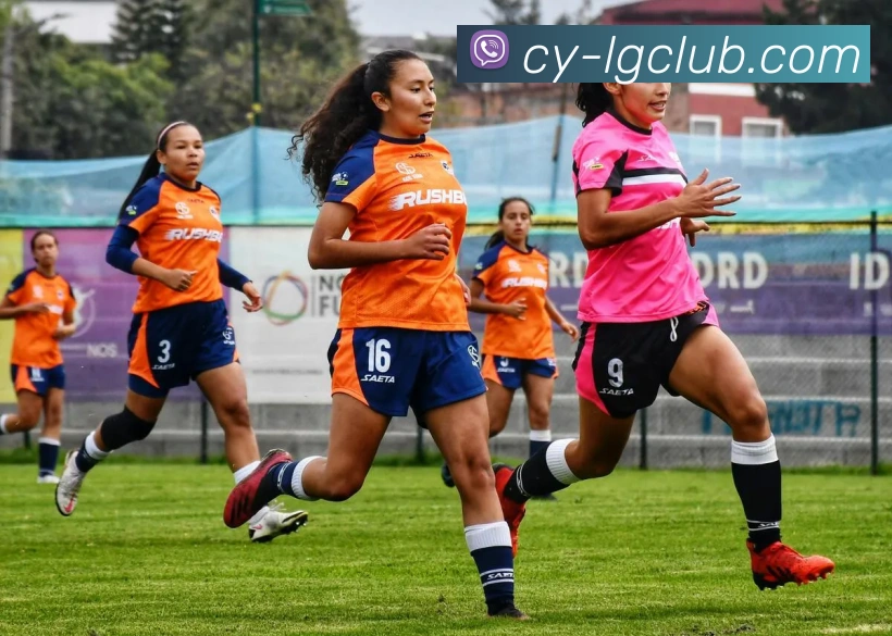 老哥俱乐部官网平台生态图