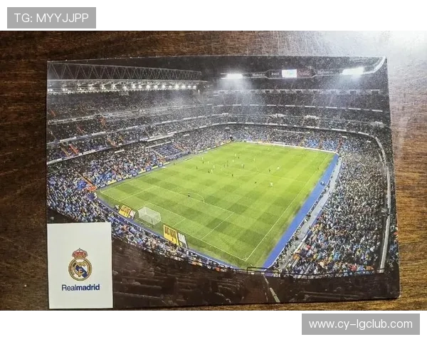 围绕足球场专用顶网的结构设计与安全性能及维护要点全面解析